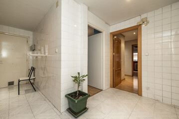 Office of an empty kitchen with a solitary plant