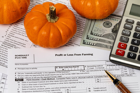 Pumpkins and farming profit or loss tax form with calculator. Fruit and vegetable farm income, finances and management concept.
