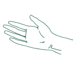 women's hand outline hand drawn illustration
