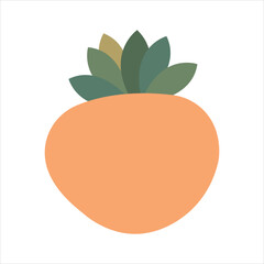Persimmon, flat style , vector illustration isolated on white background