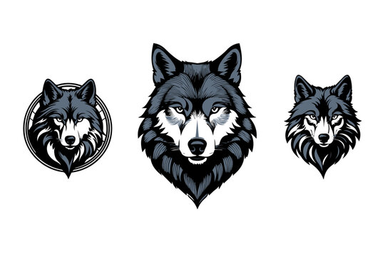 wolfs vector illustration design