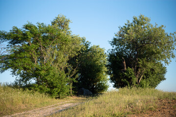Fototapeta na wymiar road in the countryside