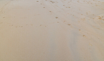 Sand texture nature beach background