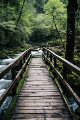 Mossy wooden bridge over forest stream in lush greenery