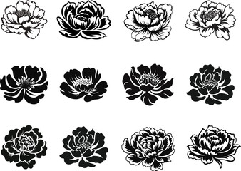 Set of Flower icons. Peony flower with leaves. Peonies hand drawn vector art. Black silhouette of peony flower.