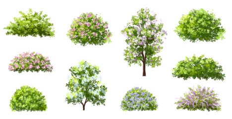 Vector watercolor blooming flower tree or forest side view isolated on white background for landscape and architecture drawing,elements for environment or and garden,shrub for section ,Set of floral