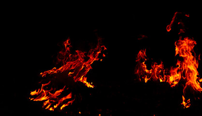 Bright flames rising and moving at dark nigh in blurred background.Orange fire flames.Burning red...