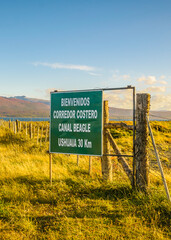 Coastal meadow landscape, tierra del fuego, argentina
