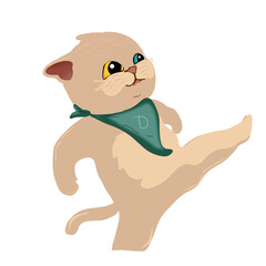 baby cat playing with a ball