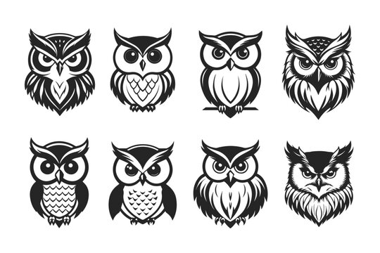 owl design vector illustration set