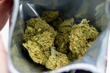 Cannatonic medical cannabis strain flower uk 