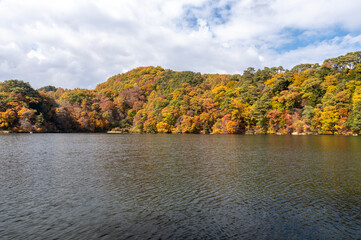 長野県小海町　秋の松原湖と紅葉