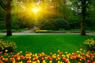 Obraz premium Spring flower park in the sunlight