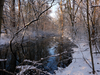 Winter im Park