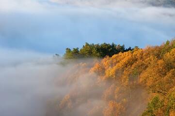 Colored sunrise in forested mountain slope with fog. Scenic mountain landscape. View on the  covered in fog. Colorful travel background.