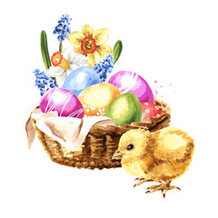 Colored Easter eggs , spring flowers and yellow chick. Hand drawn watercolor illustration isolated on white background 