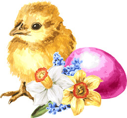 Colored Easter eggs , spring flowers and yellow chick. Hand drawn watercolor illustration isolated on white background 