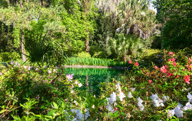 Manicured Garden at MaClay Gardens National Park, Tallahassee, Florida