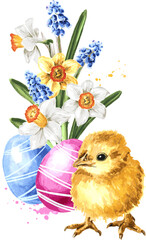 Colored Easter eggs , spring flowers and yellow chick. Hand drawn watercolor illustration isolated on white background 