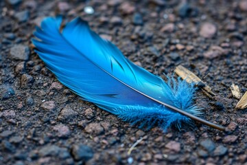 Macro shot of a blue jay feather on the ground, capturing its vibrant color and fine details.