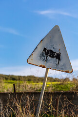 Sciacca, Sicily, Italy  A road sign on a rural road is a symbol for a cow crossing. - obrazy, fototapety, plakaty