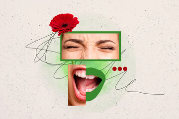 Creative composite surrealism photo artwork collage of furious crazy mad woman face loudly...