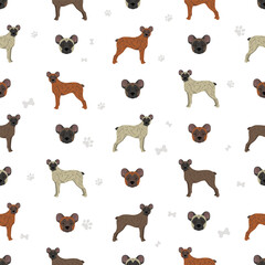Saint Miguel Cattle dog seamless pattern. All coat colors set.