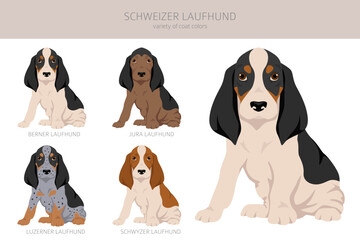 Schwyzer Laufhund, Swiss Hound puppy clipart. All coat colors set.  All dog breeds characteristics infographic
