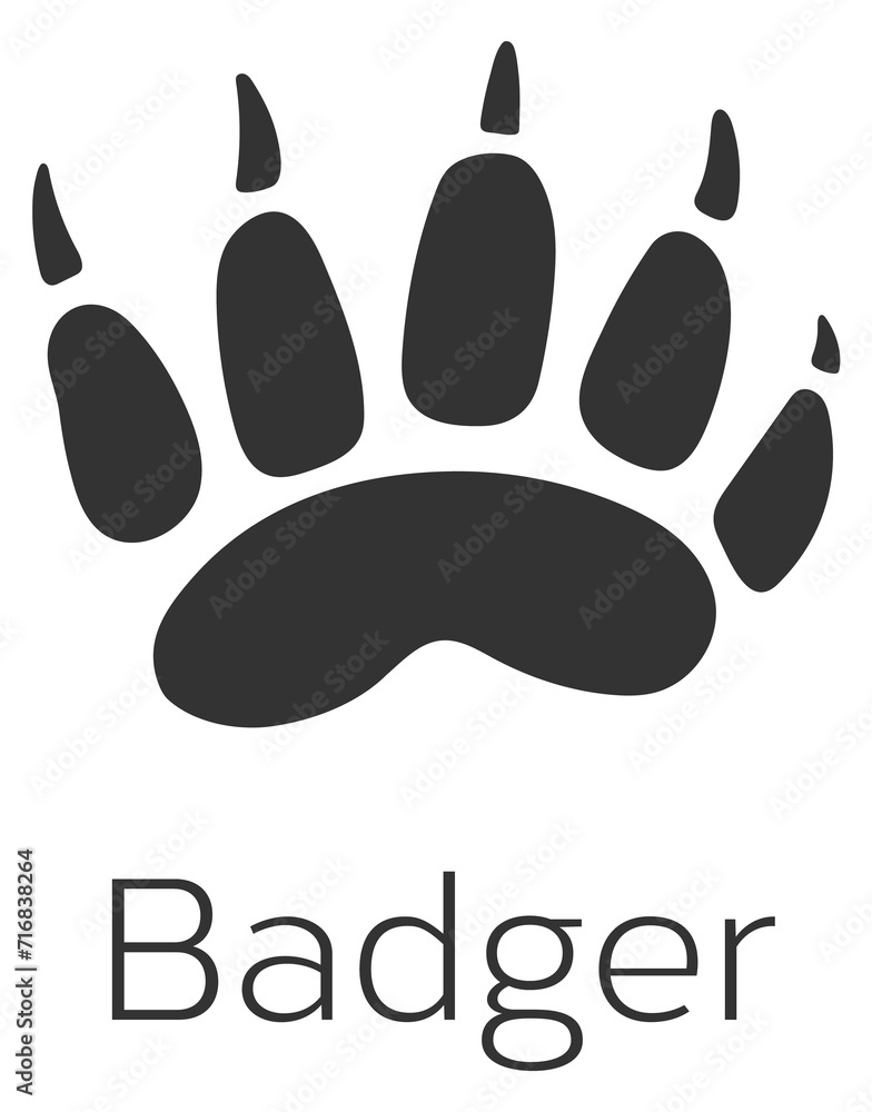 Canvas Prints badger footprint. forest wild animal trail mark