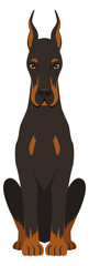 Doberman sitting. Strong guardian dog breed icon