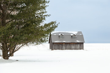 Weathered wooden barn with gable metal roof seen in snowy farmland during winter, Neuville, Quebec, Canada