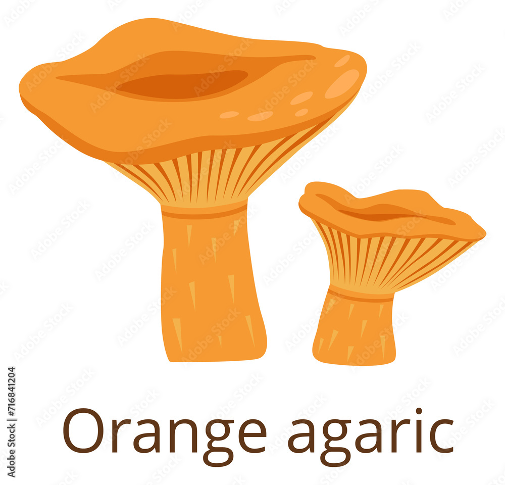 Poster Orange agaric fungus. Forest mushroom color icon