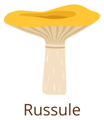 Russula mushroom color icon. Autumn forest fungus