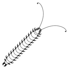 Centipede icon. Black line wild insect drawing