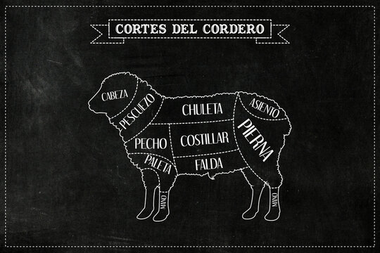 Gu&iacute;a de corte de carne de cordero