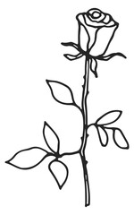 Rose doodle. Flower line drawing. Black nature icon