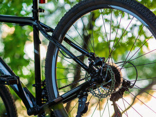 Close-up of the rear wheel of a bicycle with a disc brake