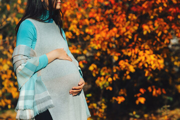Woman having happy pregnancy time. Pregnant woman's belly over autumn background.