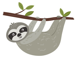 Sloth hanging from tree branch. Tropical animal character