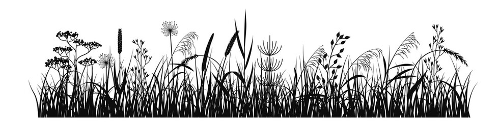 Wild grass black silhouette. Meadow horizontal silhouette