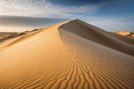 Image captures the detailed textures and patterns on sand dune