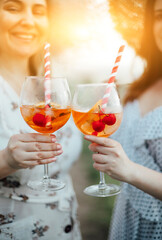 Crop women proposing toast on summer day