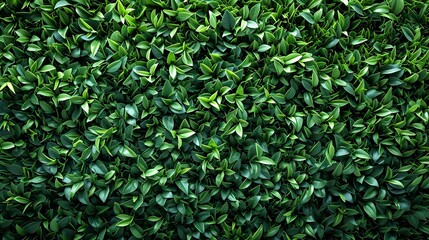 Die-cut artwork and green grass wall texture for environmental walls and backdrop designs, Generative AI. - obrazy, fototapety, plakaty