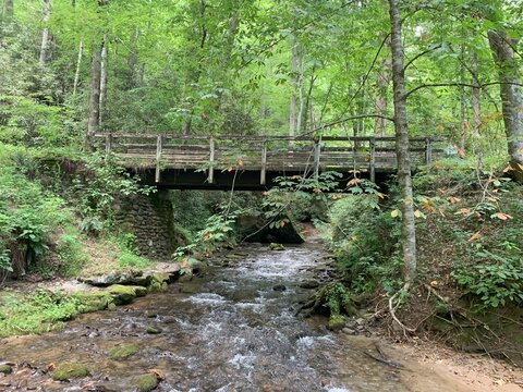 wood bridge over creek in mountain woods