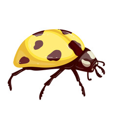 Colorful winged insect yellow ladybug.Vector graphics.