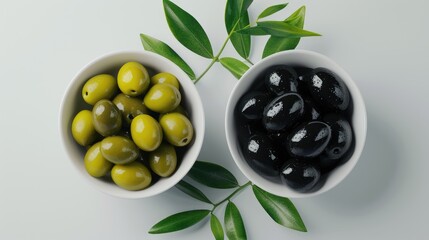 Delicious olives collection. Green and black olives
