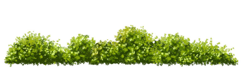 green grass isolated on white background, backdrop,eco environment concept design,watercolor greenery scene