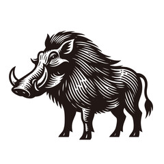 Warthog, African wild boar. Vintage vector engraved illustration. Contour drawing, line art, woodcut. Icon, logo, emblem