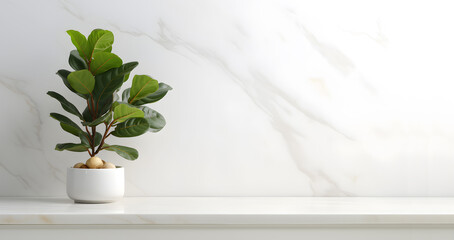 white marble with potted plants