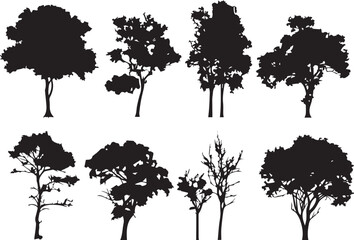 Set Trees. Hand drawn vector illustration	